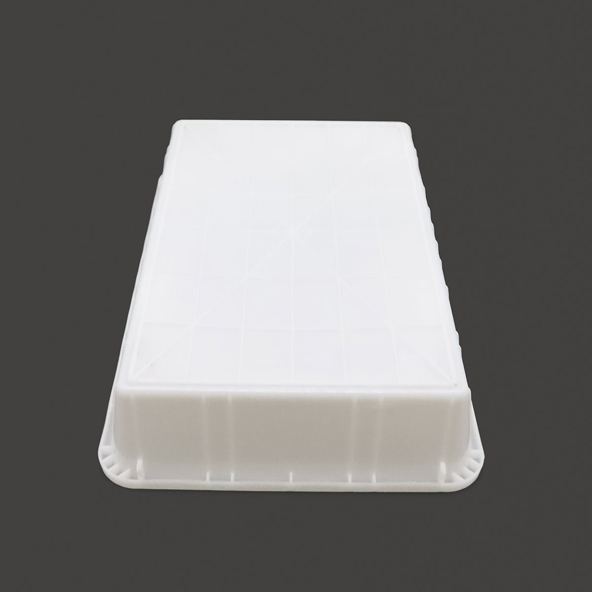Maxima Fish Fridge 600L - Plastic container (60 x 40cm) - RVSVoordeel